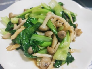 利剑玉菇炒油菜的做法步调：10