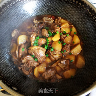 鸭肉炖土豆的做法步调：7