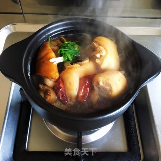白烧尾巴猪蹄的做法步调：5