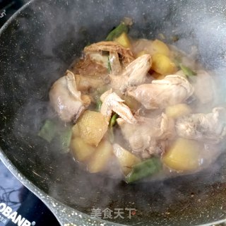 王鸽炖云豆土豆的做法步伐
：11