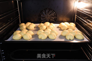 北瓜豆乳里包的做法步调：13