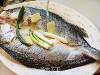 浑蒸开背鲈鱼的做法步调：3