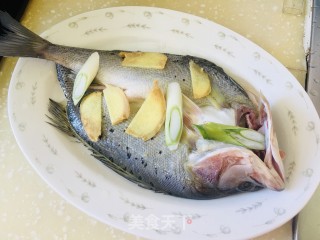 浑蒸开背鲈鱼的做法步调：4