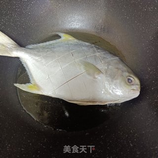 白烧鲳鱼的做法步调：4