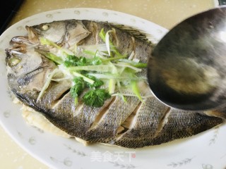 浑蒸开背鲈鱼的做法步调：5