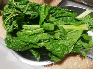 芥菜豆腐馅饼的做法步调：1