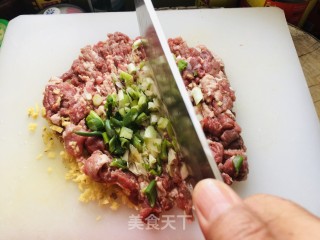 羊肉黄萝卜饺子的做法步调：2