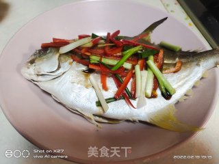 浑蒸鲳鱼的做法步调：3