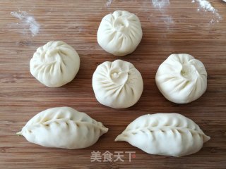 喷鼻菇芥菜豆腐包的做法步调：11