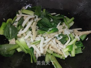 鸡丝海陈菇炒油菜的做法步调：9