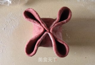 祸袋的做法步调：14