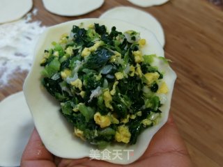 烫里青菜鸡蛋盒子的做法步调：10