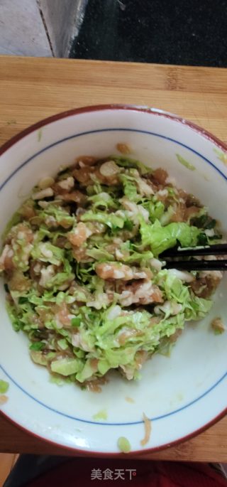 利剑菜猪肉火饺的做法步调：4