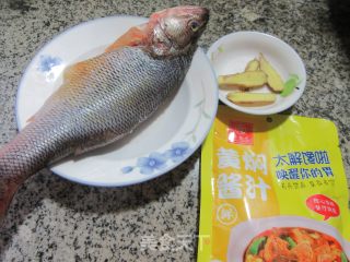 黄焖鲈鱼的做法步调：1