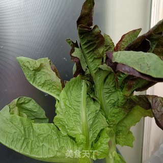 鸡蛋番茄拌莴苣老叶的做法步调：1