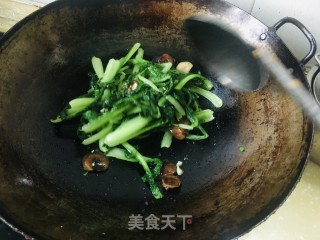 喷鼻菇炒小利剑菜的做法步调：7