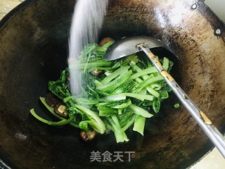 喷鼻菇炒小利剑菜的做法步调：5