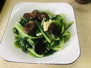 喷鼻菇炒小利剑菜的做法步调：8