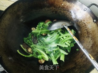 喷鼻菇炒小利剑菜的做法步调：6