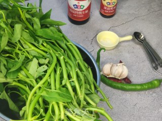 蚝油蕹菜的做法步调：1