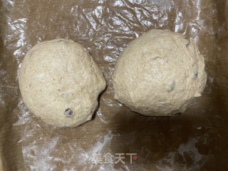 波兰种齐麦吐司的做法步调：12