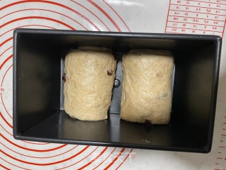 波兰种齐麦吐司的做法步调：19