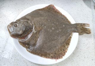 浑蒸多宝鱼的做法步调：5