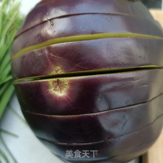 蒸风琴茄子的做法步调：7