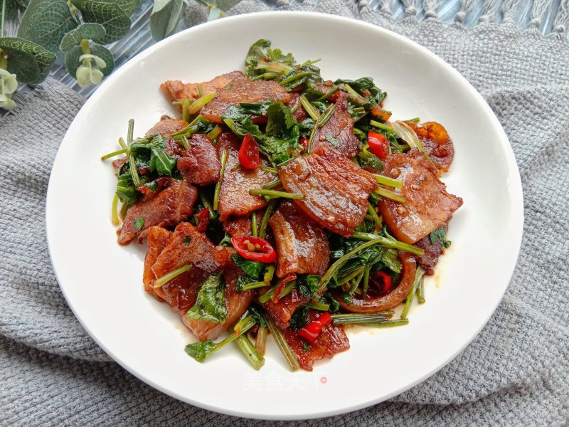 喷鼻菜炒回锅肉的做法