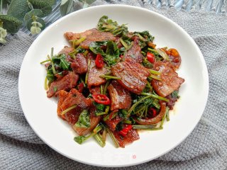 喷鼻菜炒回锅肉的做法步调：7