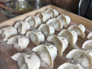 西葫芦鸡蛋蒸饺的做法步调：13