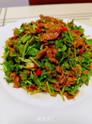 喷鼻菜拌牛肉的做法步调：19