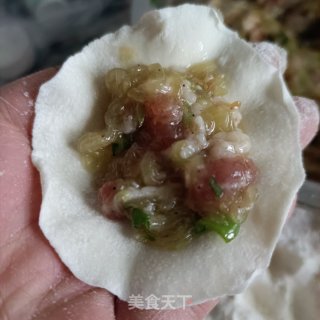 老黄瓜肉饺的做法步调：10