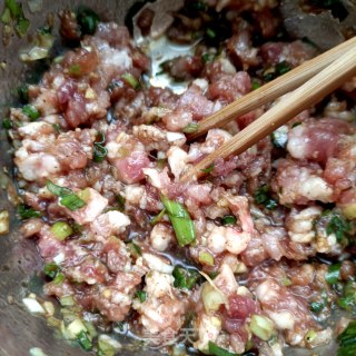 老黄瓜肉饺的做法步调：5