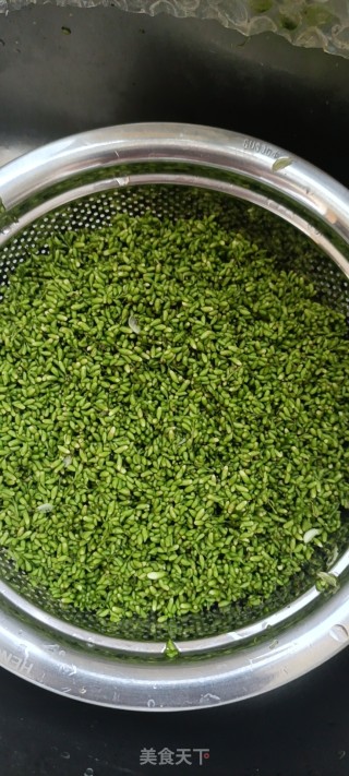 炒槐米茶的做法步调：4