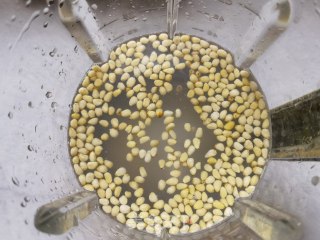 紧子糯米豆乳的做法步调：6