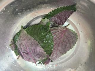 紫苏虾仁粥的做法步调：4