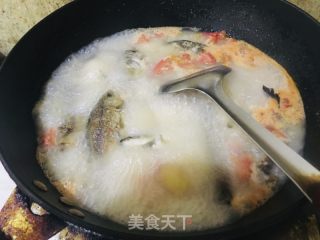 番茄鲫鱼汤的做法步调：6