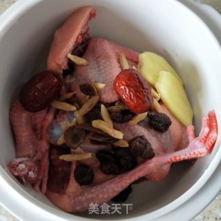白参鸽子汤的做法步调：5