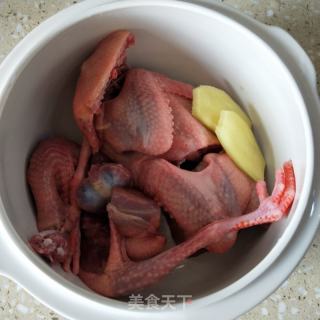 白参鸽子汤的做法步调：4