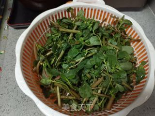 凉拌马齿菜的做法步调：1