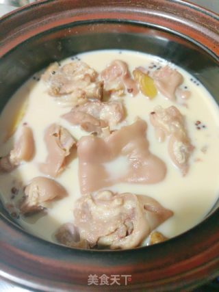 奶喷鼻蹄花汤的做法步调：6