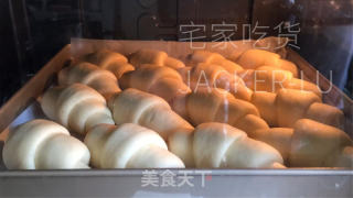 波兰种小餐包，坚实推丝，奶喷鼻味实足，配杯热牛奶，温心又温胃。的做法步调：16