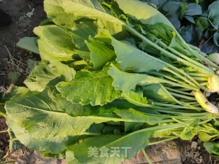 萝卜缨炒肉沫的做法步调：1