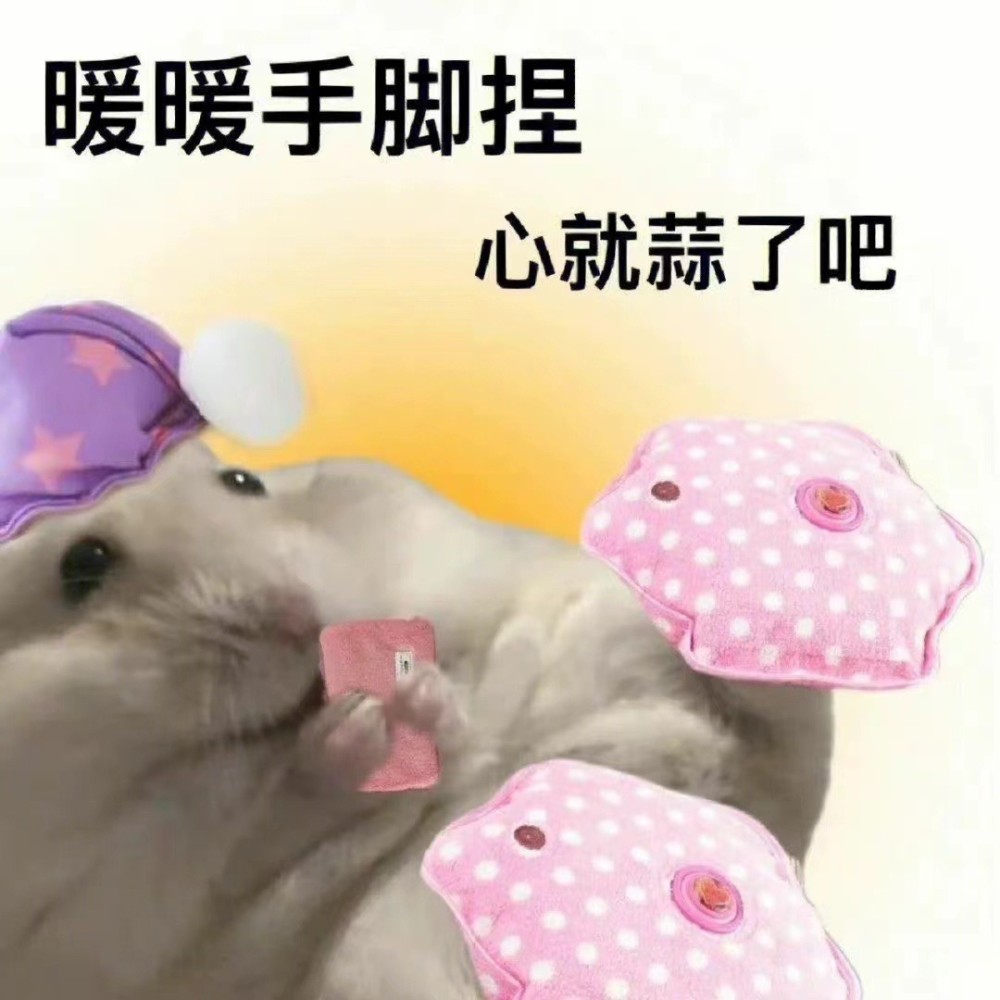 R6Cc5c54E5yv52ve.jpg