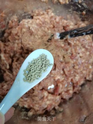 猪肉利剑菜饺子的做法步调：8