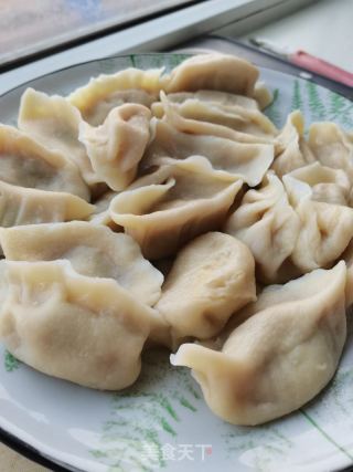 猪肉利剑菜饺子的做法步调：17