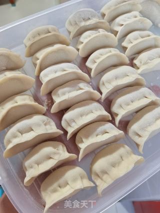 猪肉利剑菜饺子的做法步调：14