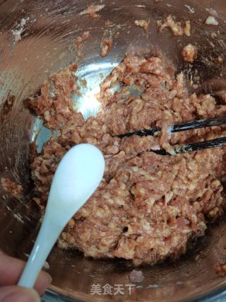 猪肉利剑菜饺子的做法步调：6