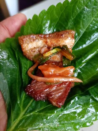 苏子叶包煎肉的做法步伐
：16